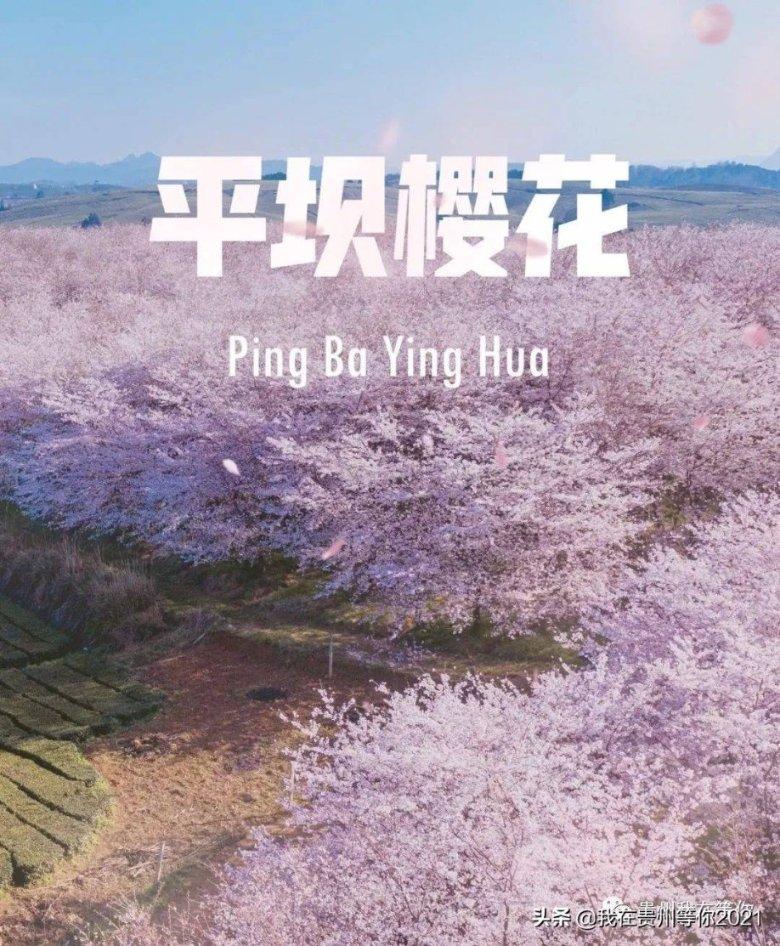 生产不合格一次性使用吸痰管!海南一公司被罚3.4万余元